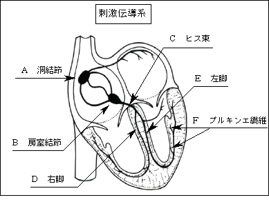 80 脈拍 数